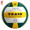 Ballon de volley-ball - Ref 2010121