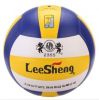 Ballon de volley-ball - Ref 2010174