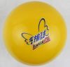 Ballon de volley-ball - Ref 2010212