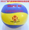 Ballon de volley-ball - Ref 2010222