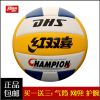 Ballon de volley-ball - Ref 2010302