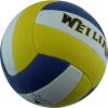 Ballon de volley-ball - Ref 2010325