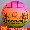 Ballon de volley-ball - Ref 2010398