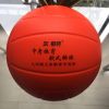 Ballon de volley-ball - Ref 2010402