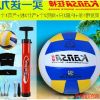 Ballon de volley-ball - Ref 2010406