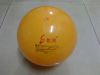 Ballon de volley-ball - Ref 2010711