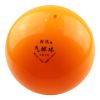 Ballon de volley-ball - Ref 2010725