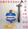 Ballon de volley-ball - Ref 2010741