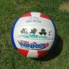 Ballon de volley-ball - Ref 2010798