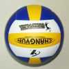Ballon de volley-ball - Ref 2010810