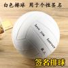 Ballon de volley-ball - Ref 2010987