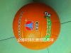 Ballon de volley-ball - Ref 2010993