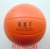 Ballon de volley-ball - Ref 2011013