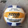 Ballon de volley-ball - Ref 2011015