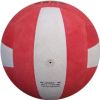 Ballon de volley-ball - Ref 2011034