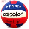 Ballon de volley-ball - Ref 2011132