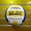 Ballon de volley-ball - Ref 2011164