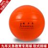 Ballon de volley-ball - Ref 2011232