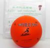 Ballon de volley-ball - Ref 2011249