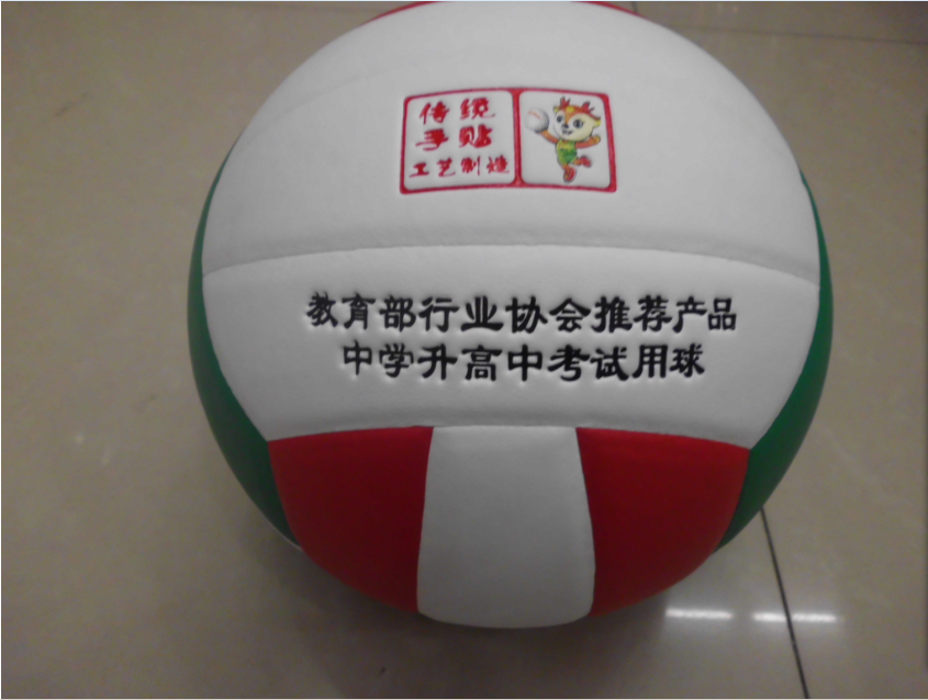 Ballon de volley-ball - Ref 2011404