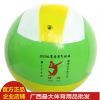 Ballon de volley-ball - Ref 2011478