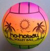 Ballon de volley-ball - Ref 2011601