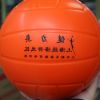 Ballon de volley-ball - Ref 2011745