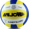 Ballon de volley-ball - Ref 2011801