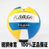 Ballon de volley-ball - Ref 2011827