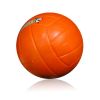 Ballon de volley-ball - Ref 2011973