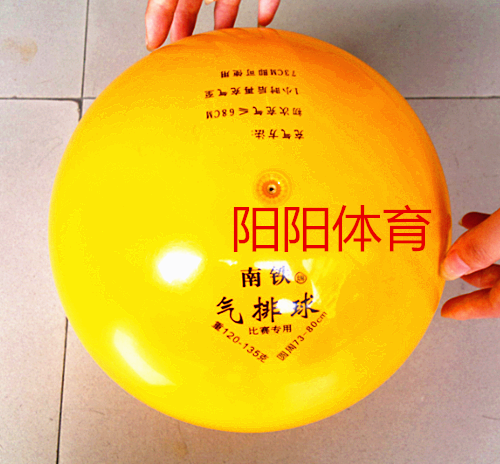 Ballon de volley-ball - Ref 2012049