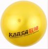 Ballon de volley-ball - Ref 2012054