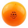 Ballon de volley-ball - Ref 2012166