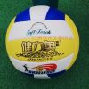 Ballon de volley-ball - Ref 2012213