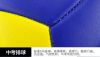 Ballon de volley-ball - Ref 2012233