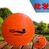 Ballon de volley-ball - Ref 2012243