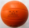 Ballon de volley-ball - Ref 2012248