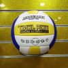 Ballon de volley-ball - Ref 2012418