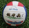 Ballon de volley-ball - Ref 2012524