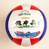Ballon de volley-ball - Ref 2012558