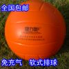 Ballon de volley-ball - Ref 2012575