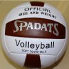 Ballon de volley-ball - Ref 2012580