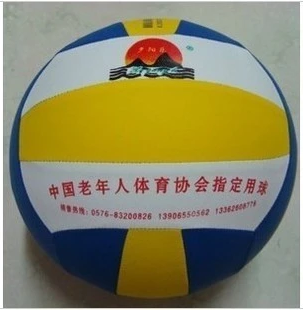 Ballon de volley-ball - Ref 2012648