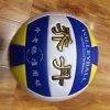 Ballon de volley-ball - Ref 2012818