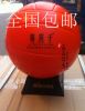 Ballon de volley-ball - Ref 2012845