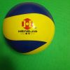 Ballon de volley-ball - Ref 2012879