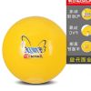 Ballon de volley-ball - Ref 2012888