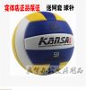 Ballon de volley-ball - Ref 2013025