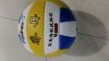 Ballon de volley-ball - Ref 2013138