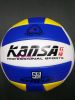 Ballon de volley-ball - Ref 2013290